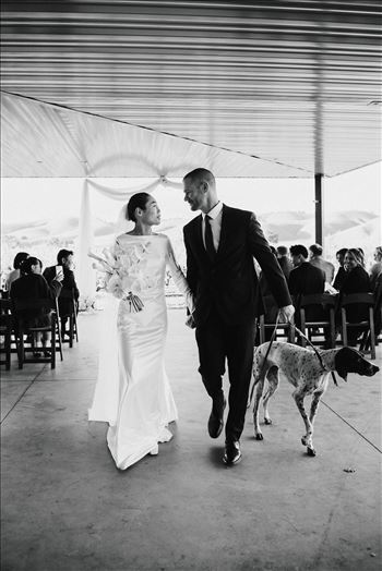 Final-9172-2.jpg by Sarah Williams