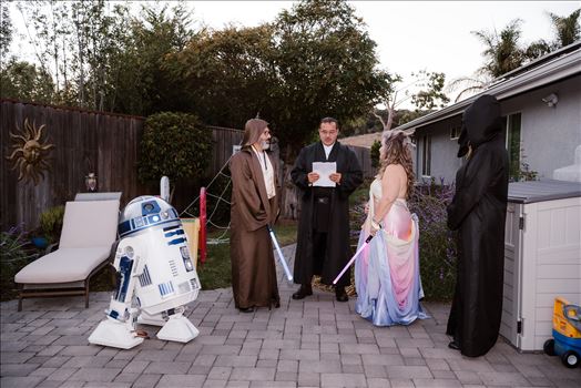 Final-7306.jpg by Sarah Williams