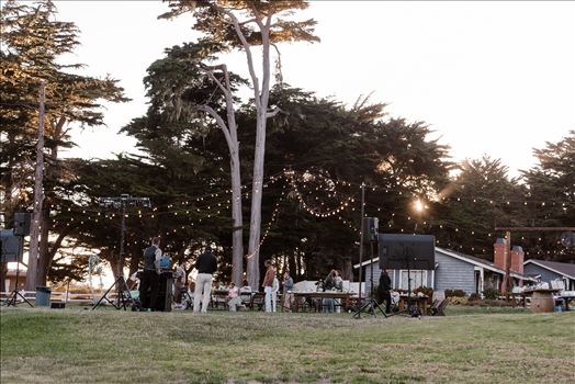 Final-6688.jpg by Sarah Williams