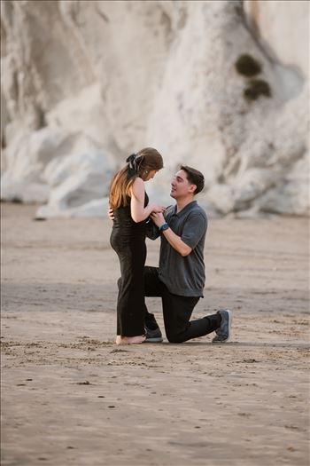 Final-3095.jpg by Sarah Williams