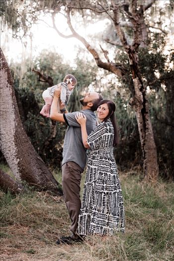 Final--5.jpg by Sarah Williams