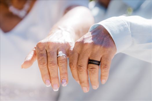 Bride and Groom-4103.jpg by Sarah Williams