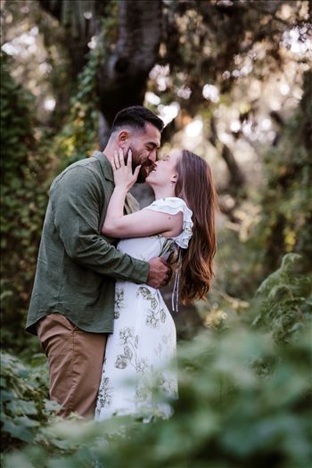 Final-1087.jpg by Sarah Williams