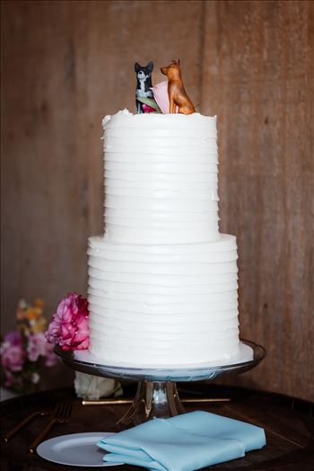 Reception-8073.jpg by Sarah Williams
