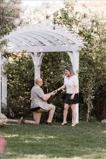 Final-5158.jpg by Sarah Williams