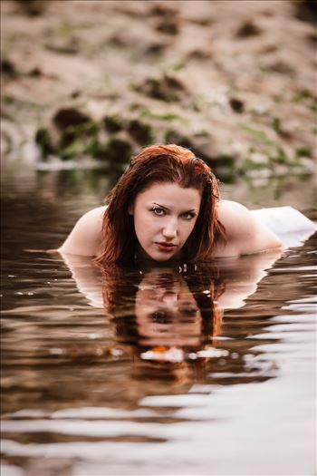 Final 3--6.jpg by Sarah Williams