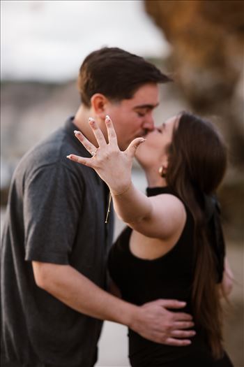 Final--2.jpg by Sarah Williams