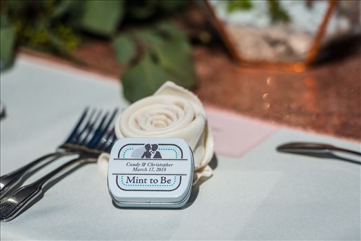 Candy and Christopher 20 - Wedding at Dolphin Bay Resort and Spa in Shell Beach, California by Sarah Williams of Mirror\u0027s Edge Photography, a San Luis Obispo County Wedding Photographer