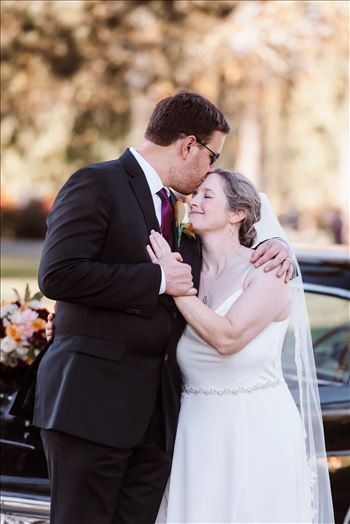 BG Final--3.jpg by Sarah Williams