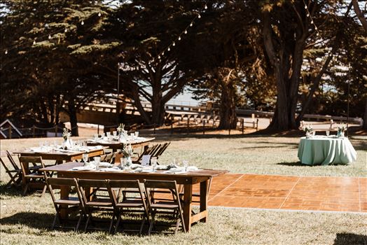 Final-6164.jpg by Sarah Williams