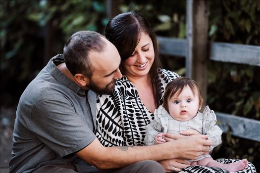 Final--3.jpg by Sarah Williams