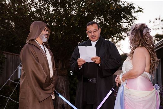 Final-7325.jpg by Sarah Williams