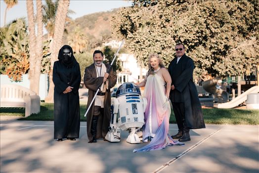 Final-7286.jpg by Sarah Williams