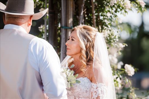 Final-0996.jpg by Sarah Williams