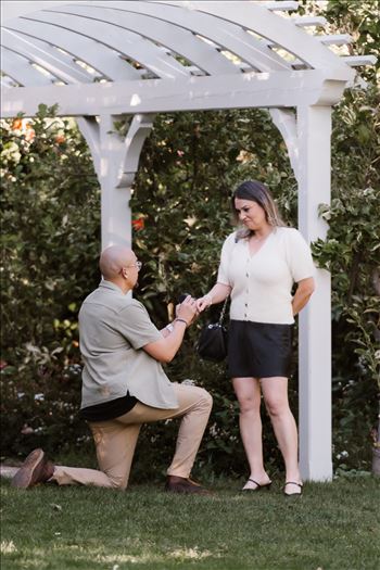 Final-5165.jpg by Sarah Williams