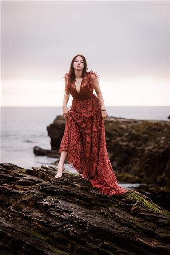 Final 2--7.jpg by Sarah Williams