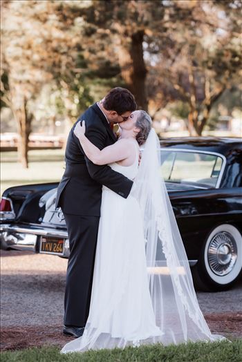 BG Final-2014.jpg by Sarah Williams