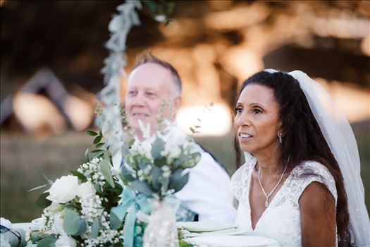 Final-5353.jpg by Sarah Williams