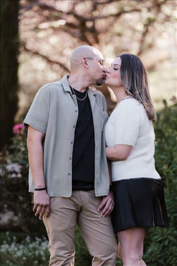 Final-5271.jpg by Sarah Williams