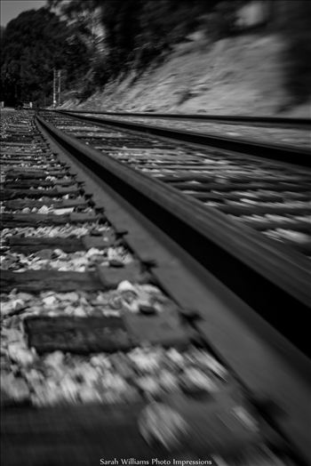 On the Tracks.jpg - 