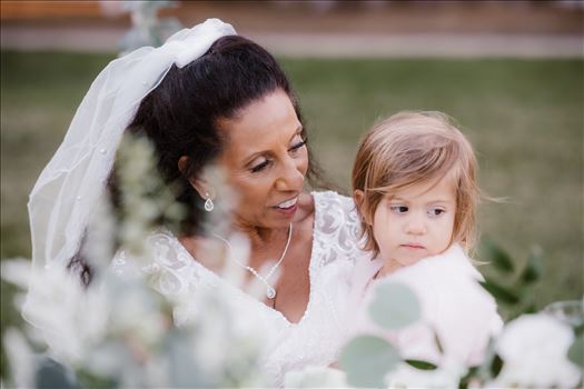 Final-5553.jpg by Sarah Williams