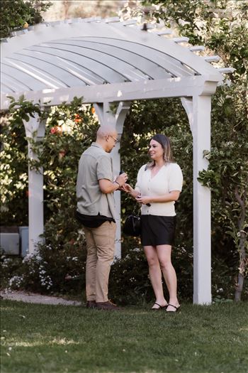 Final-5179.jpg by Sarah Williams