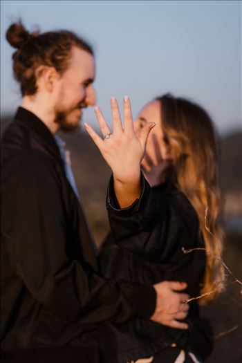 Final-9049.jpg by Sarah Williams