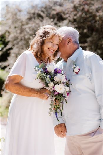 Bride and Groom-4070.jpg by Sarah Williams