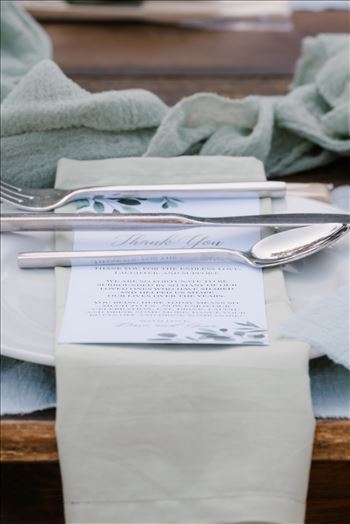 Final-4871.jpg by Sarah Williams