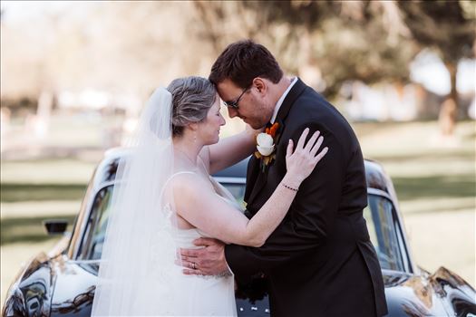 BG Final-1940.jpg by Sarah Williams