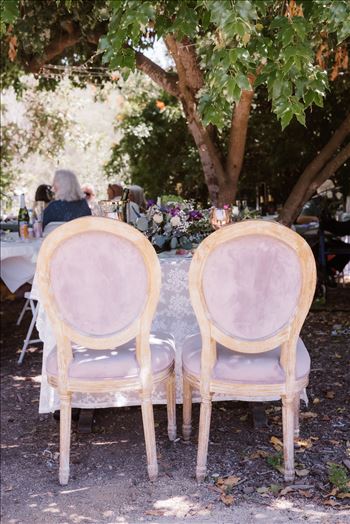 Reception-4944.jpg by Sarah Williams