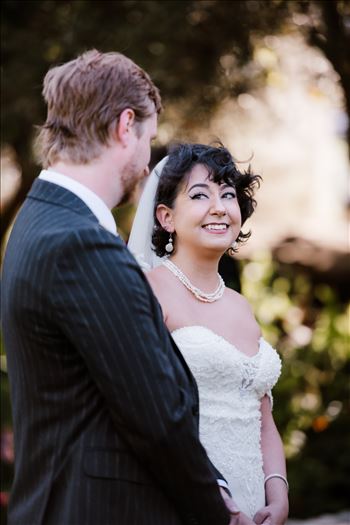 FinalB-5643.jpg by Sarah Williams