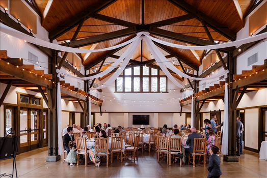 Reception and Party-3609.jpg by Sarah Williams