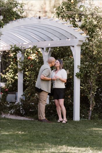 Final-5192.jpg by Sarah Williams