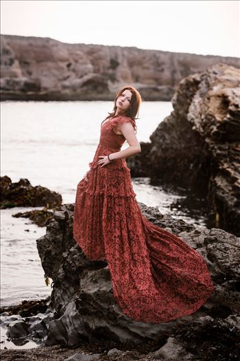 Final 2--31.jpg by Sarah Williams