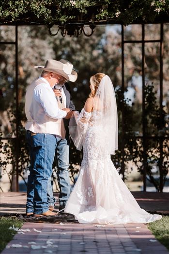 Final-1023.jpg by Sarah Williams