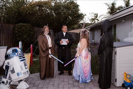 Final-7307.jpg by Sarah Williams