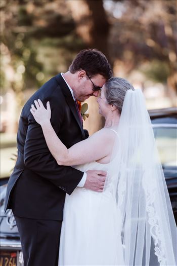 BG Final-2017.jpg by Sarah Williams