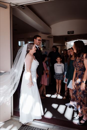 Final-8739.jpg by Sarah Williams