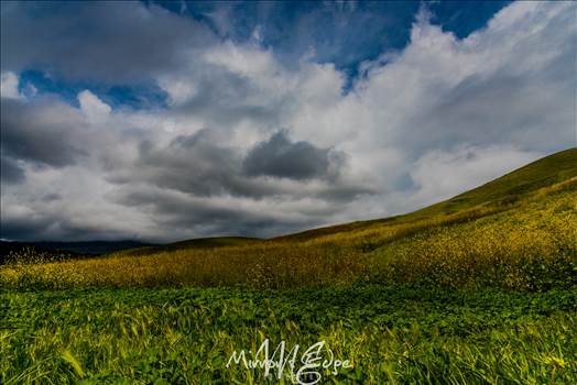 Stormy Skies Rolling Hills (1 of 1).jpg by Sarah Williams