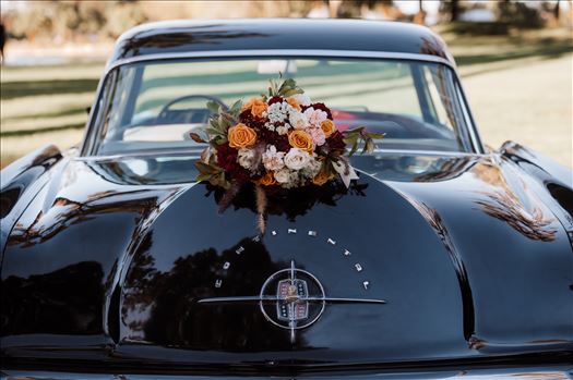 BG Final-2019.jpg by Sarah Williams