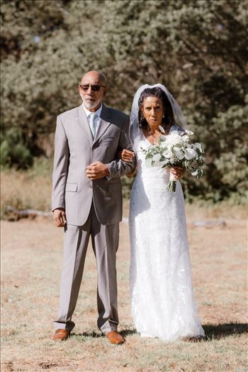 Final-5069.jpg by Sarah Williams