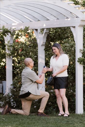 Final-5176.jpg by Sarah Williams