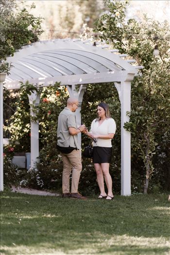 Final-5178.jpg by Sarah Williams