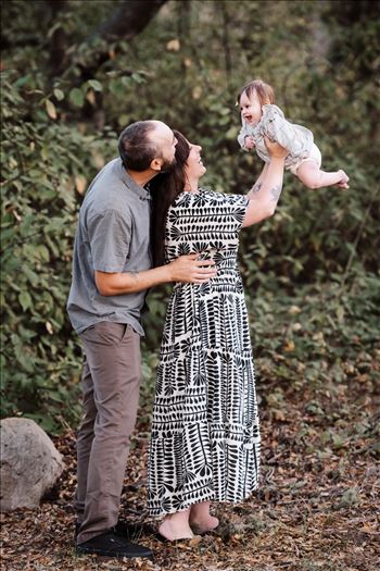 Final--2.jpg by Sarah Williams