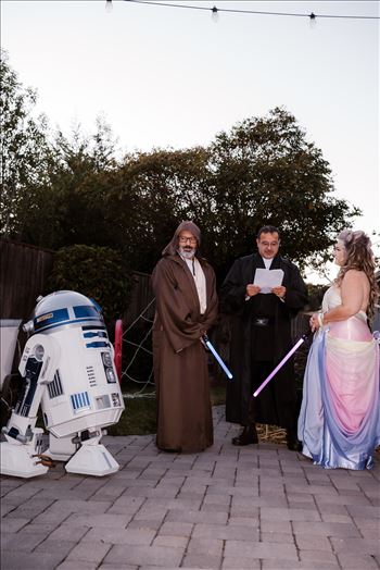 Final-7326.jpg by Sarah Williams