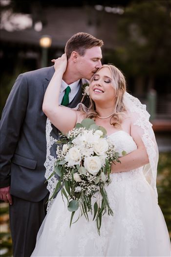 Bride and Groom-2531.jpg by Sarah Williams