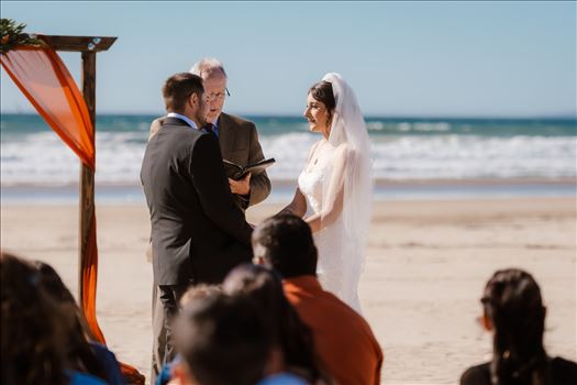 Final-4172.jpg by Sarah Williams