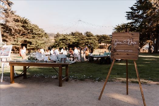 Final-6385.jpg by Sarah Williams