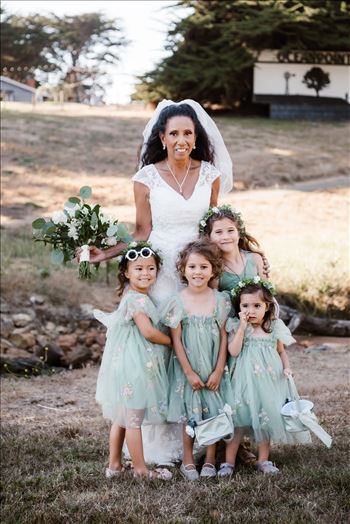 Final--2.jpg by Sarah Williams